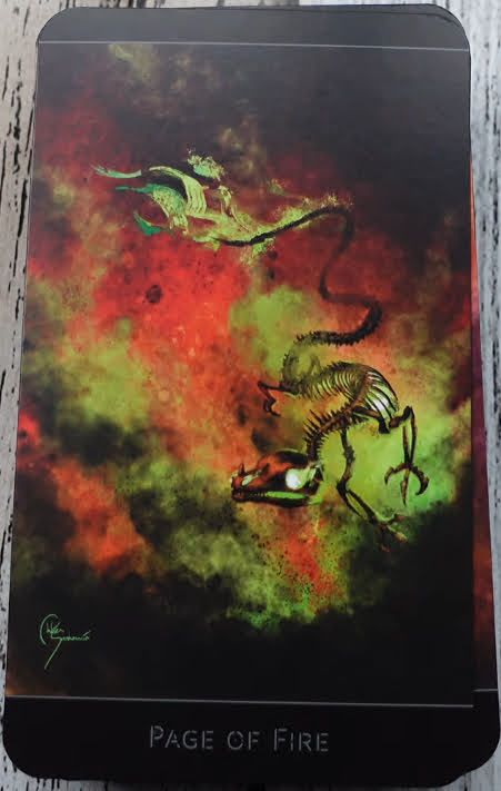 The Lost Forest Tarot